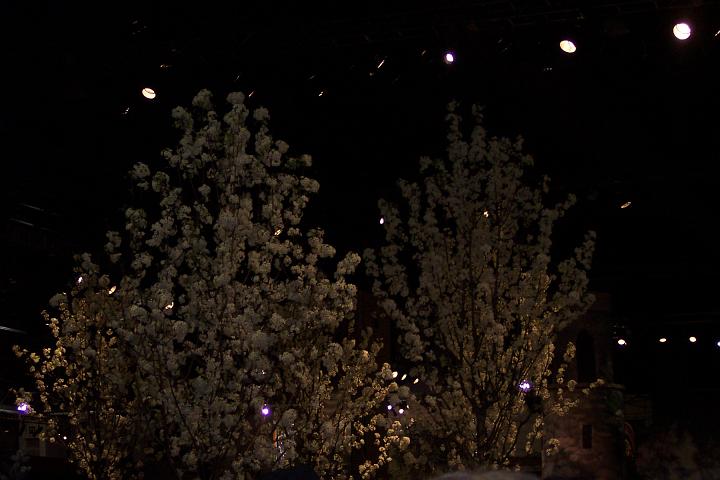 L_W 062.jpg